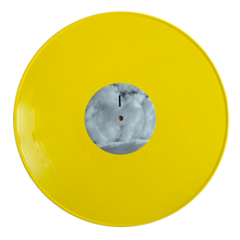 Load image into Gallery viewer, Wasteland Country 2xLP