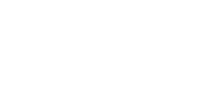 Moon Walker