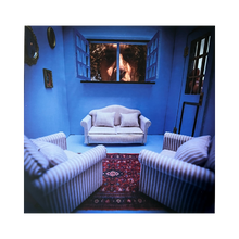 Load image into Gallery viewer, Is This The World You Wanted? Vinyl