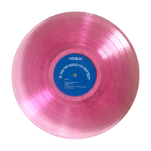 Load image into Gallery viewer, Is This The World You Wanted? Vinyl